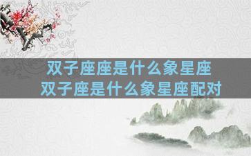 双子座座是什么象星座 双子座是什么象星座配对